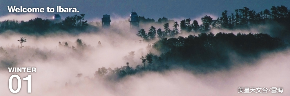 井原市観光協会