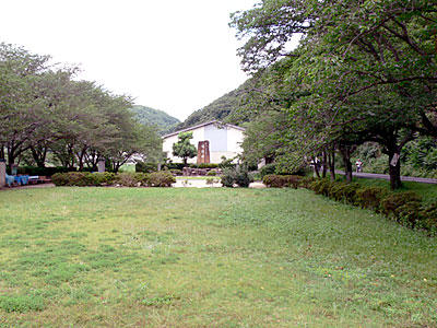 桜橋公園