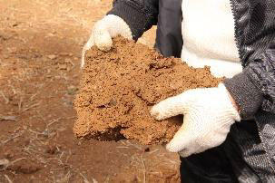 重粘な粘土質の赤土